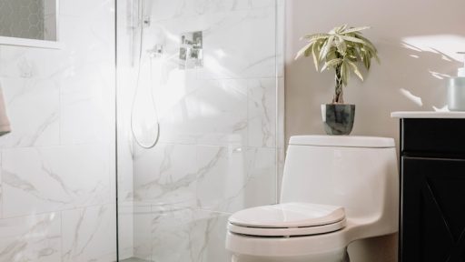 white ceramic toilet bowl beside white ceramic toilet bowl