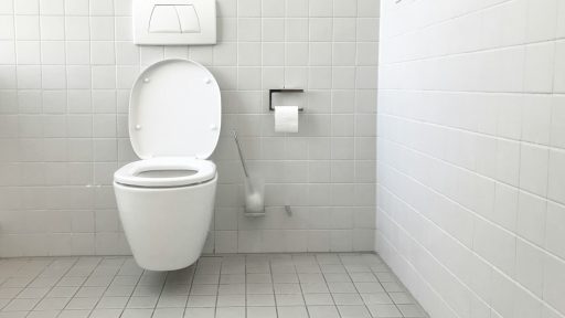 white toilet bowl with cistern