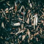 a close up of a pile of wood shavings