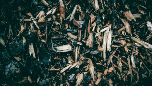 a close up of a pile of wood shavings