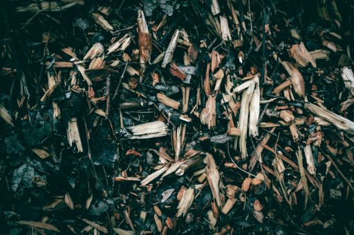 a close up of a pile of wood shavings