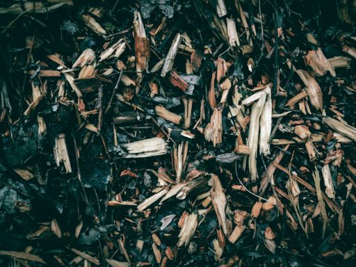 a close up of a pile of wood shavings