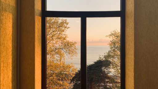 brown wooden framed glass window