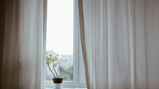potted plant on window with curtain