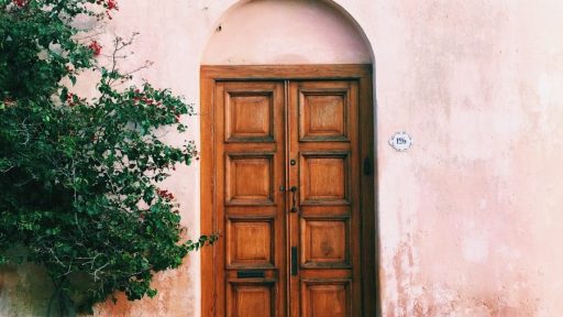 green plants beside brown wooden door