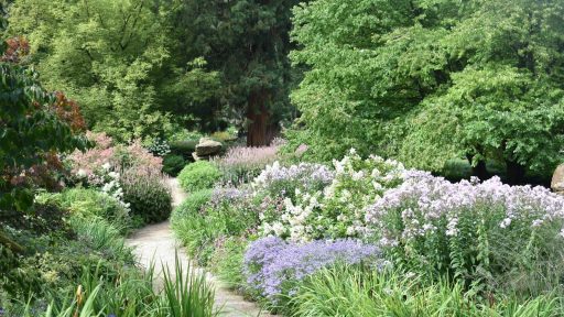 a garden filled with lots of different types of flowers