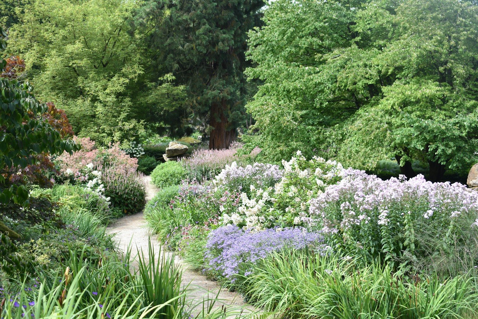 a garden filled with lots of different types of flowers
