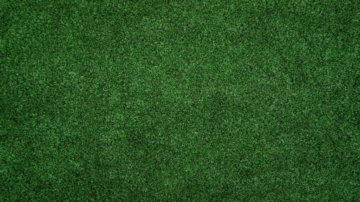topview of grass lawn