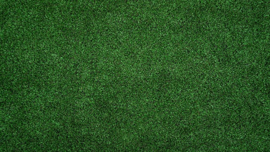 topview of grass lawn
