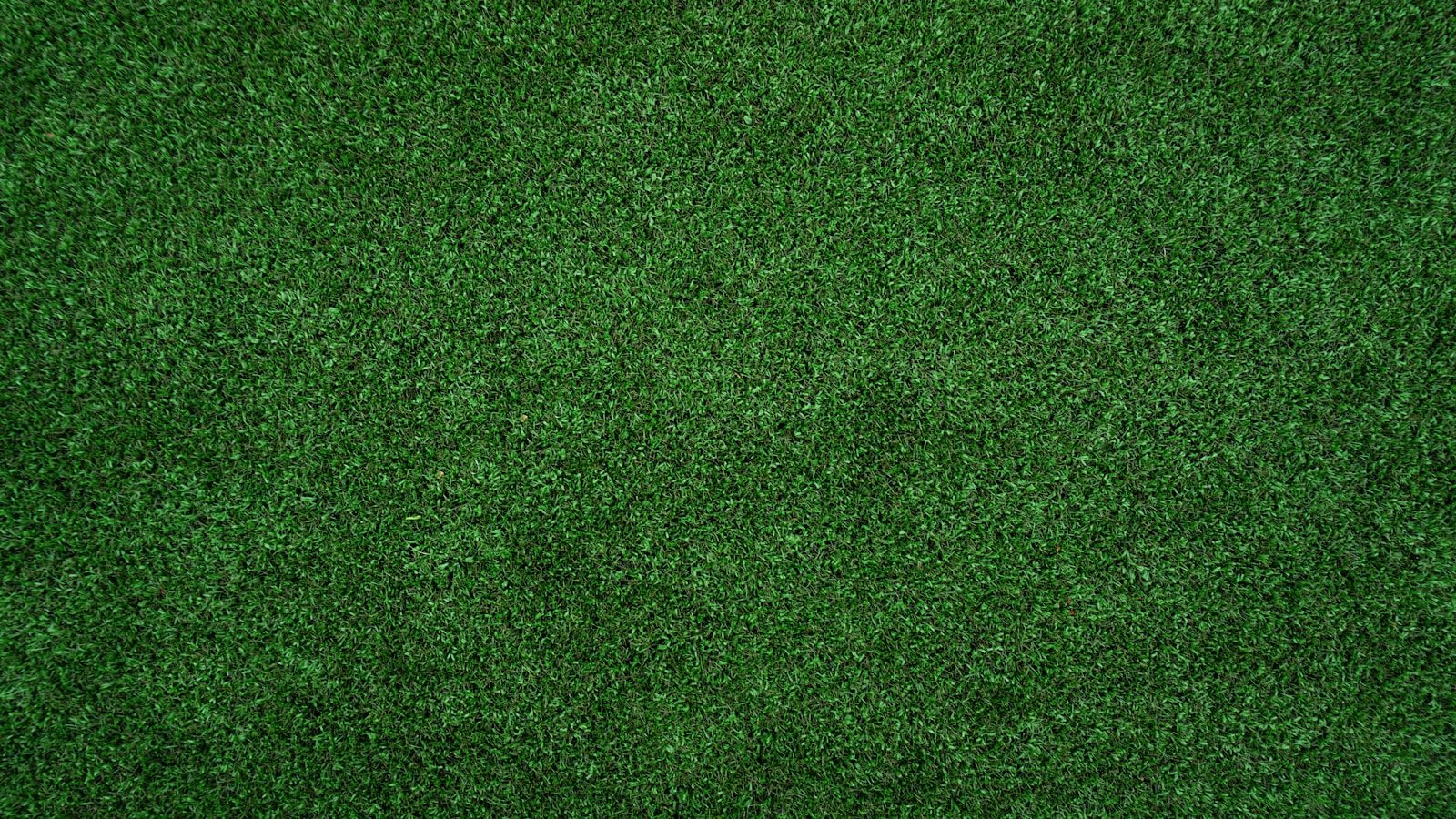 topview of grass lawn