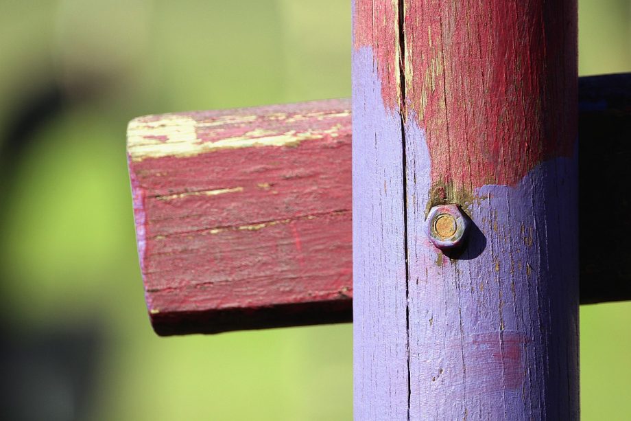 Persoon die een houten schutting schildert met een kwast in de tuin