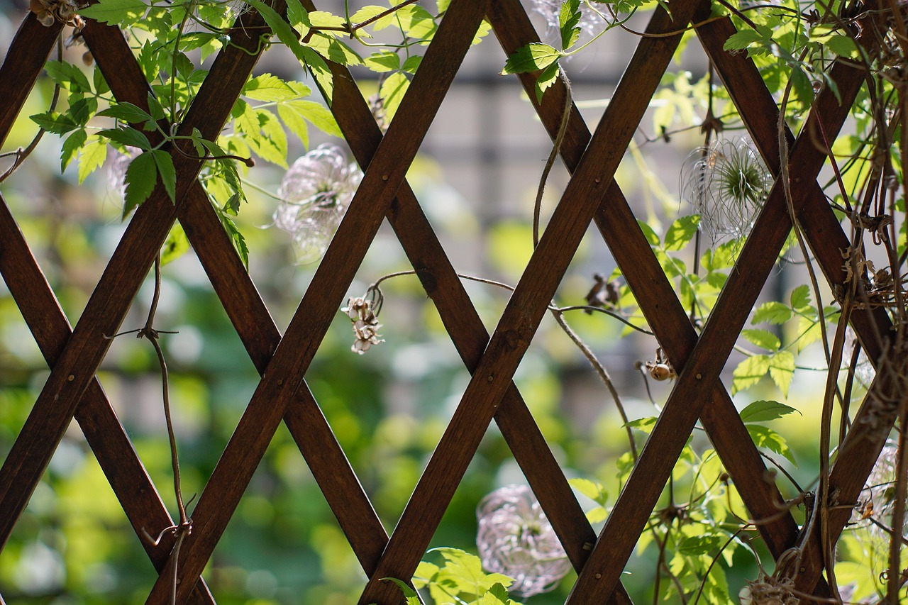 Houten speeltoestel met glijbaan en schommel in een groene achtertuin