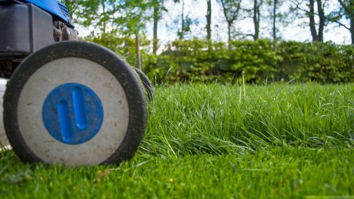 Tuinborder in augustus met bloeiende vaste planten en uitgebloeide stelen die worden bijgehouden