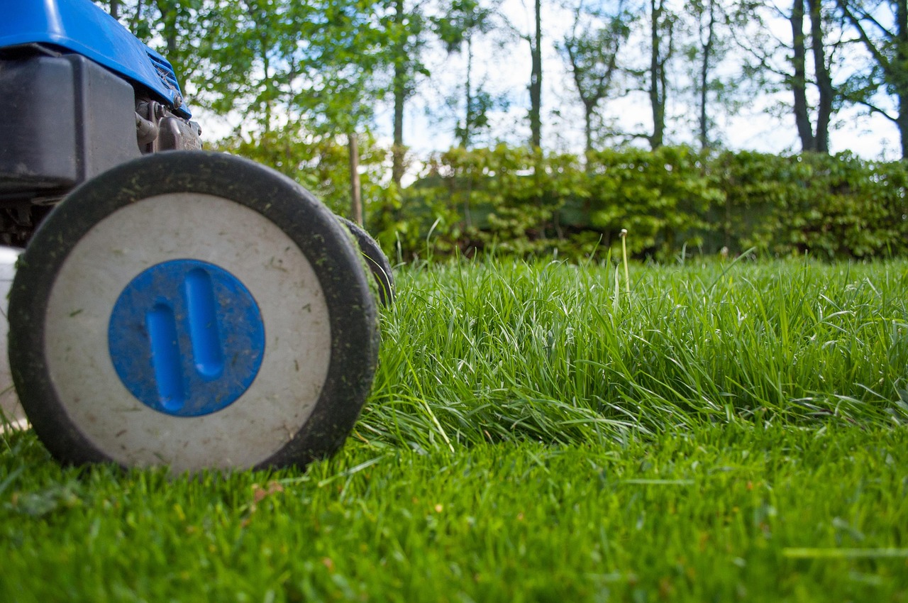 Tuinborder in augustus met bloeiende vaste planten en uitgebloeide stelen die worden bijgehouden